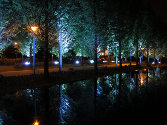[DSC-WX1] 012.jpg
